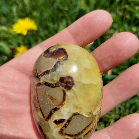 Septarian Nodules Plam Stones Dragon egg - Picture 11 of 11